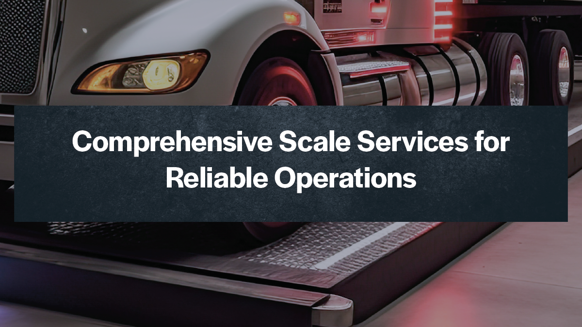 Comprehensive Scale Services for Reliable Operations