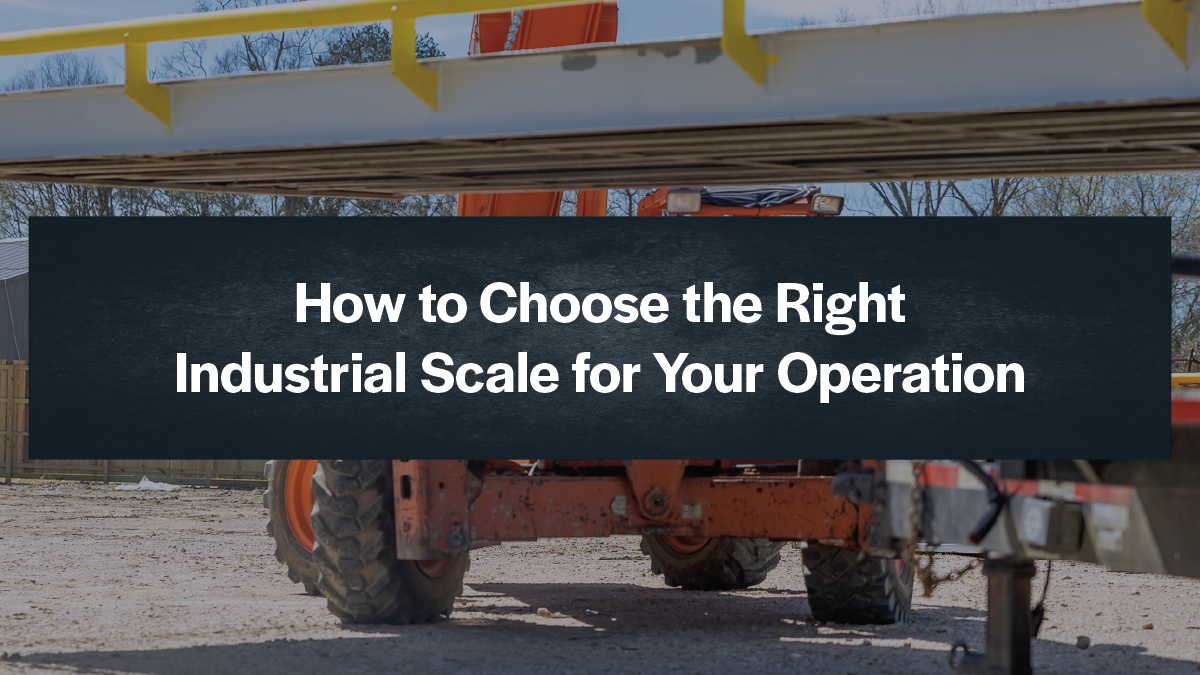 How to Choose the Right Industrial Scale for Your Operation
